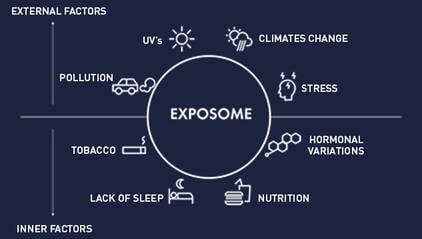 Exposome, internal and external factors