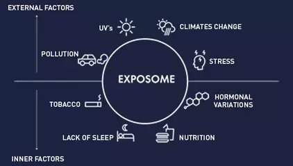 Exposome, internal and external factors