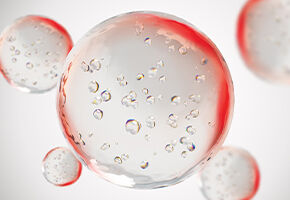 Paraben Free