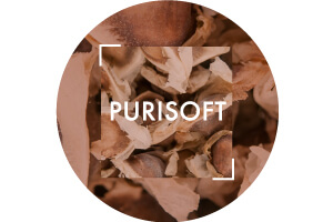 Purisoft Ingredient | Vichy