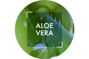 Aloe Vera Ingredient | Vichy