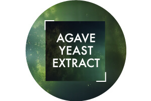 Agave Yeast Extract Ingredient | Vichy