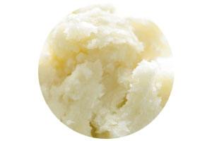 Shea Butter Ingredient | Vichy