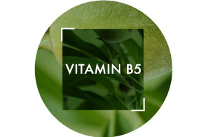 PDP/Vitamin-B5-Vichy-300x200.jpg| Vichy