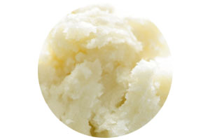 Shea Butter Ingredient | Vichy
