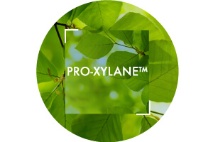 Pro-Xylane™ Ingredient | Vichy