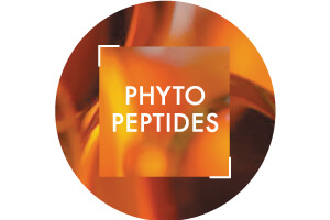 Phyto Peptides Ingredient | Vichy
