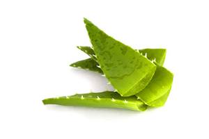 Aloe Vera Ingredient | Vichy